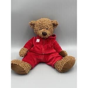 New York & Company Plush 12 Inch Stuffed Teddy Bear Red Hoodie Shirt